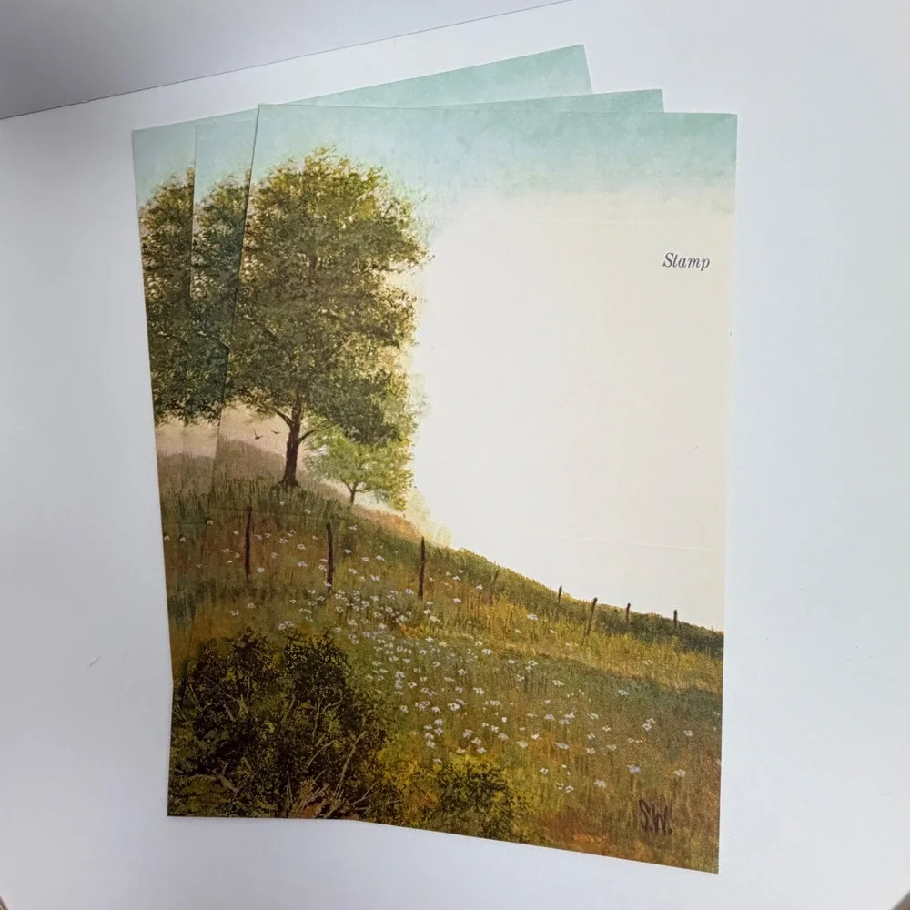 Lot of 12 S.W. Landscape Art Postcards Rustic Country‎ Scenic Unused